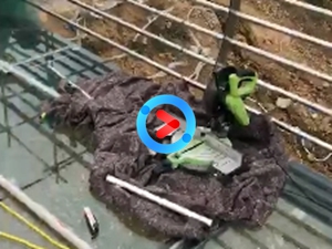 南陽熏衣草莊園走廊 南陽熏衣草莊園走廊