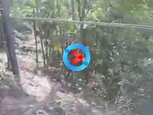 軌道滑索 軌道滑索