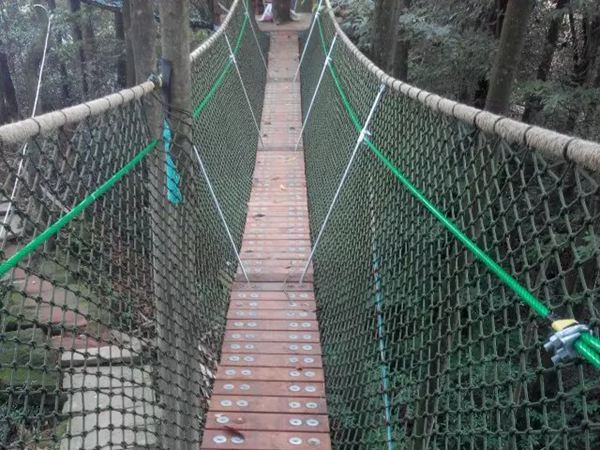 叢林穿越游樂項目 叢林穿越游樂項目