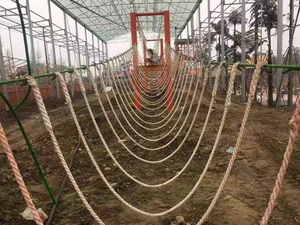 叢林穿越游樂項目 叢林穿越游樂項目